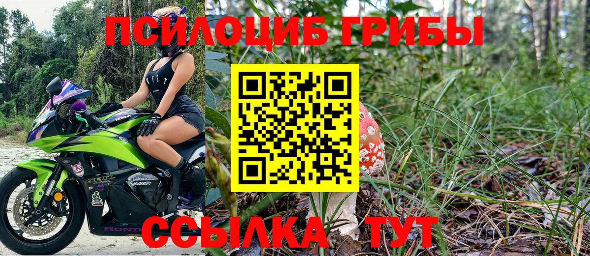 Псилоцибиновые грибы прущие грибы Котлас